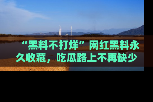 “黑料不打烊”网红黑料永久收藏，吃瓜路上不再缺少惊喜与乐趣