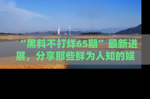 “黑料不打烊65期”最新进展，分享那些鲜为人知的娱乐八卦