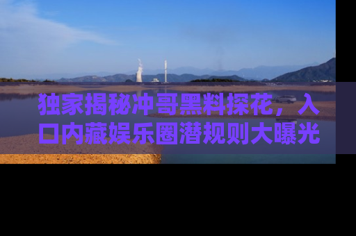 独家揭秘冲哥黑料探花，入口内藏娱乐圈潜规则大曝光