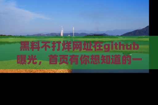 黑料不打烊网址在github曝光，首页有你想知道的一切幽默趣事，快来看看