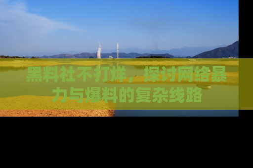 黑料社不打烊，探讨网络暴力与爆料的复杂线路