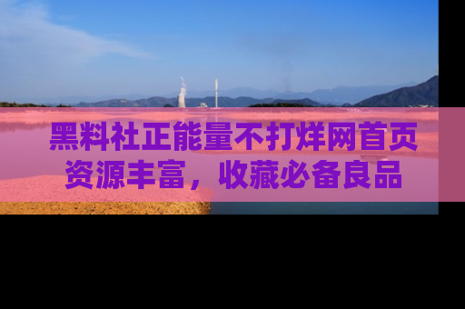 黑料社正能量不打烊网首页资源丰富，收藏必备良品