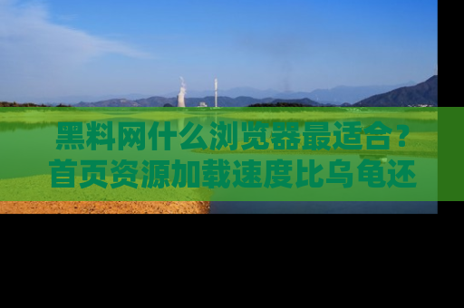 黑料网什么浏览器最适合？首页资源加载速度比乌龟还慢的体验真心吐槽！