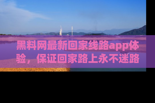 黑料网最新回家线路app体验，保证回家路上永不迷路顺畅