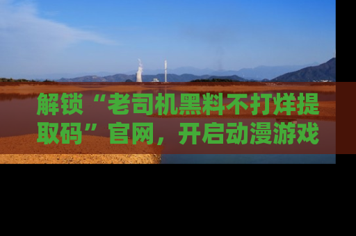 解锁“老司机黑料不打烊提取码”官网,开启动漫游戏的新次元之旅!
