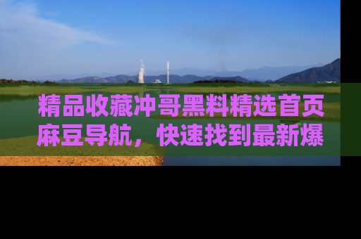 精品收藏冲哥黑料精选首页麻豆导航，快速找到最新爆料