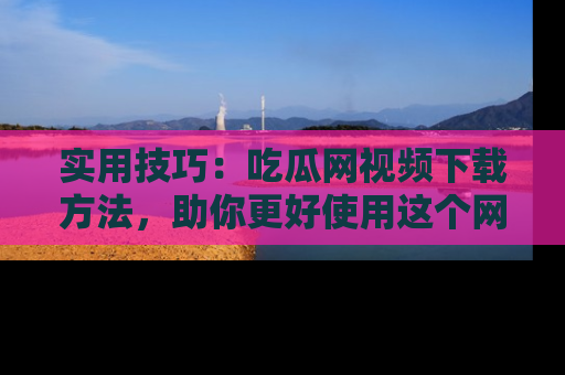 实用技巧:吃瓜网视频下载方法,助你更好使用这个网站