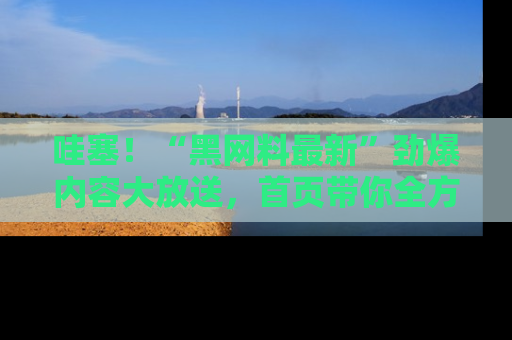 哇塞!“黑网料最新”劲爆内容大放送,首页带你全方位了解哦,小可爱们