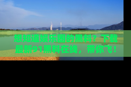 想知道娱乐圈的黑料？下载最新91黑料在线，带你飞！