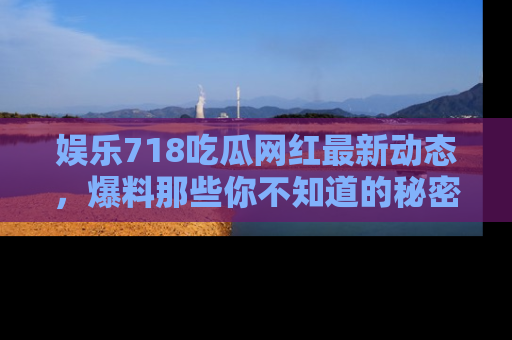 娱乐718吃瓜网红最新动态,爆料那些你不知道的秘密!