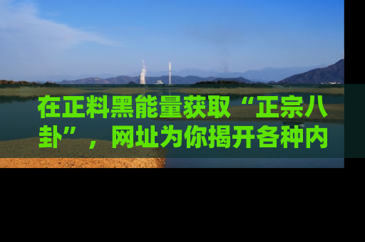在正料黑能量获取“正宗八卦”,网址为你揭开各种内幕故事!