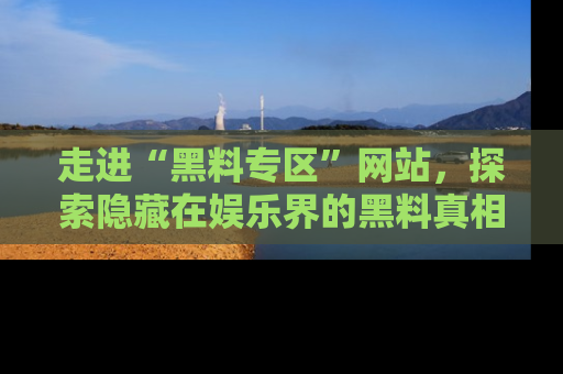 走进“黑料专区”网站,探索隐藏在娱乐界的黑料真相